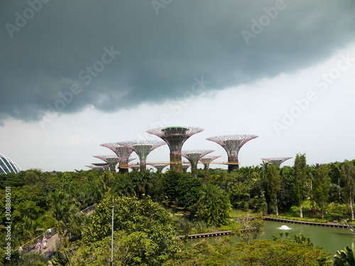 The Supertree grove at Gardens by the Bay in Singapore near Marina Bay Sands at cloudy day.