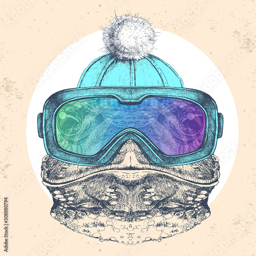 Hipster animal frog in winter hat and snowboard goggles. Hand drawing Muzzle of frog