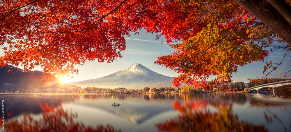 Colorful Autumn Season and Mountain Fuji with morning fog and red leaves at lake Kawaguchiko is one of the best places in Japan - obrazy, fototapety, plakaty 