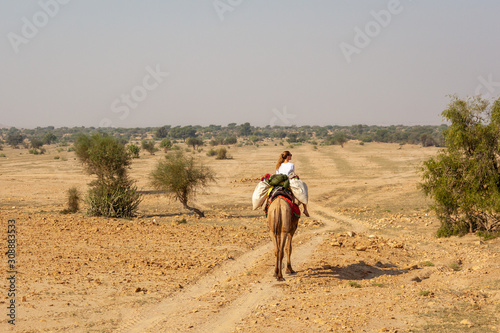 A woman on a camel safari in the Thar desert close from Jaisalmer  India