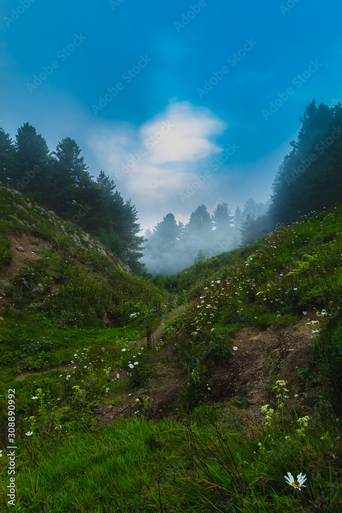 Fototapeta premium Mushkpuri Top, Nathiagali, Pakistan
