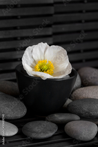 Flower Still Life With Pebble Across Black