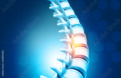 Human spine, vertebrae anatomy on science background. 3d illustration