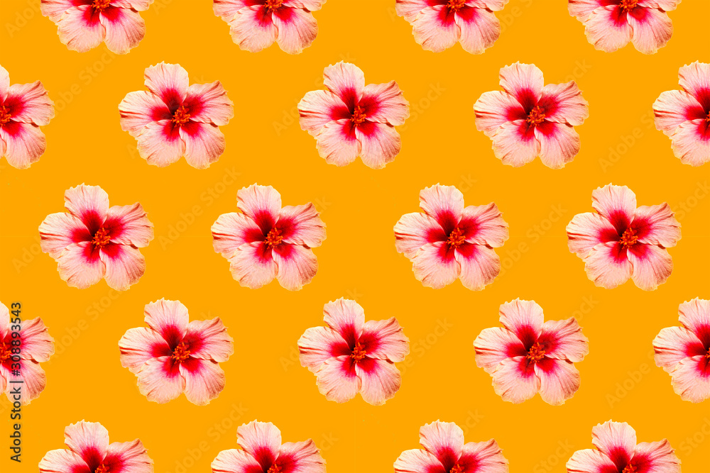 Seamless pattern image of hibiscus flowers on yellow background