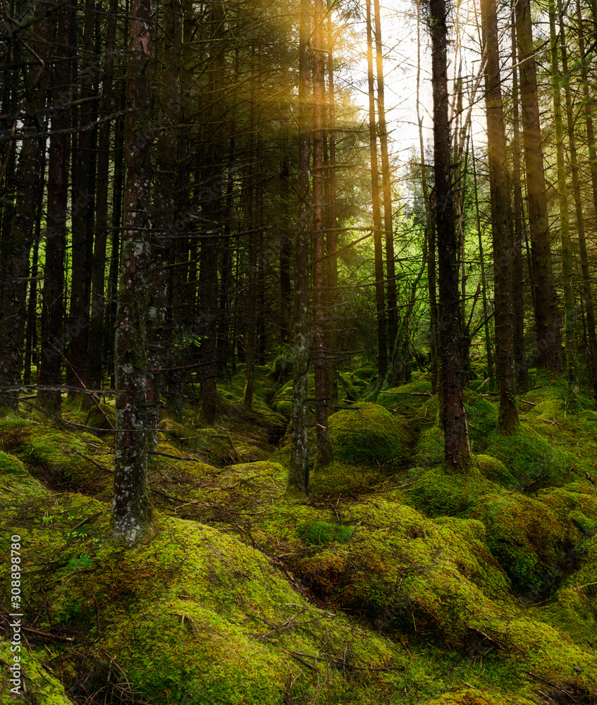 Obraz premium Marble Arch Caves Global Geopark and Cuilcagh Boardwalk Trail Ireland 