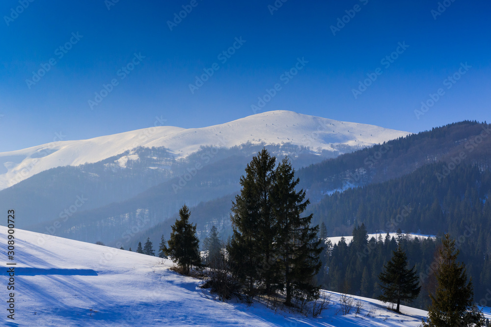 Winter landscape in Carphatians Mountain (Ukraine) Winter landscape in Carphatians Mountain (Ukraine)