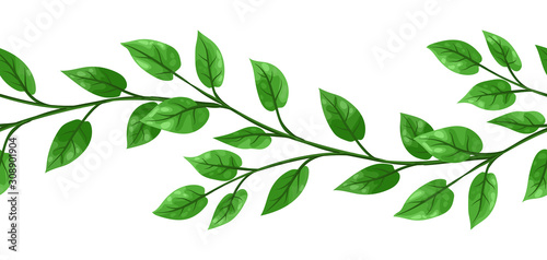 Liana seamless pattern. Jungle vines plant with green leaves.