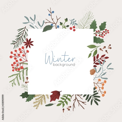 Winter botanical vector background. Xmas color backdrop with text space. Mistletoe, juniper, pine cones and coniferous branches composition. Border, square banner template with place for text.