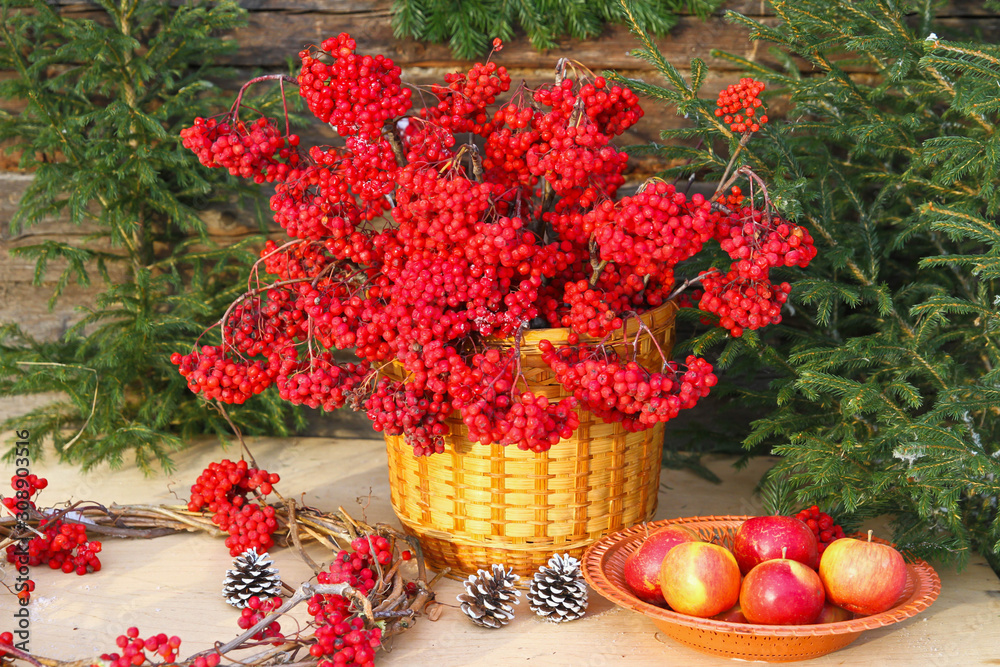 Christmas composition, Bright red Rowan berries in a basket, spruce with red balls, red apples, selective focus Christmas composition, Bright red Rowan berries in a basket, spruce with red balls, red apples, selective focus