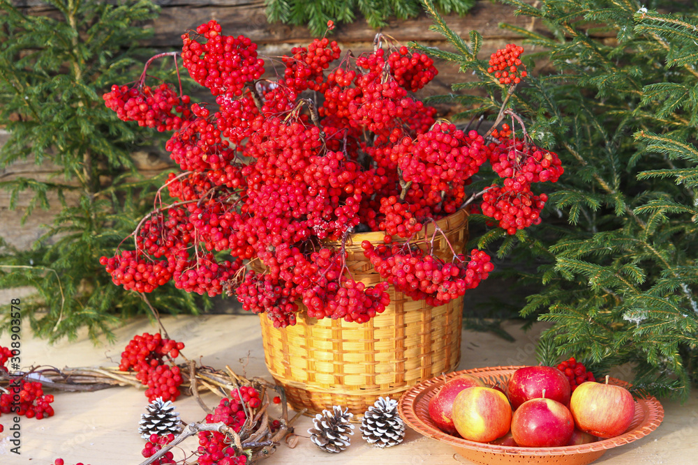 Christmas composition, Bright red Rowan berries in a basket, spruce with red balls, red apples, selective focus Christmas composition, Bright red Rowan berries in a basket, spruce with red balls, red apples, selective focus