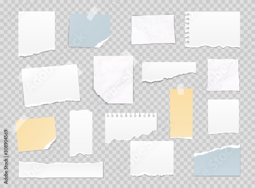 Collection of various note papers, banner set. Different scraps of paper stuck by sticky tape. Vector illustration.