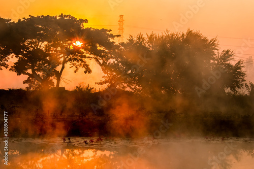Trees with fog on the river ,Chiangmai Thailand