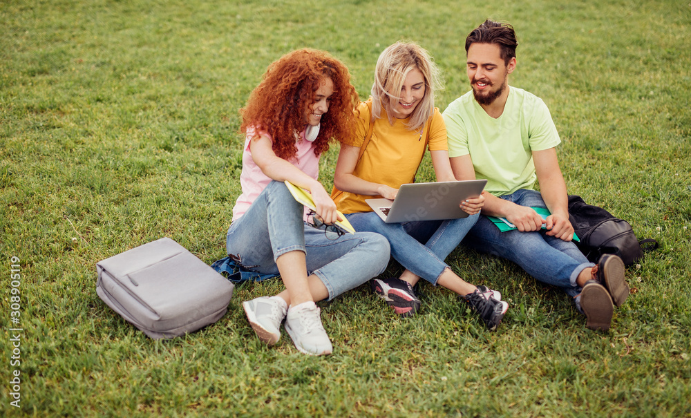Happy students using laptop on grass Happy students using laptop on grass
