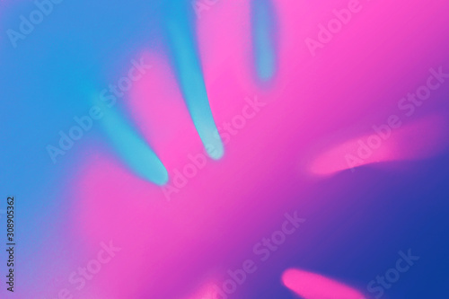 Bright Blue color tropical palm leaf shadow in trendy duotone pink neon background.