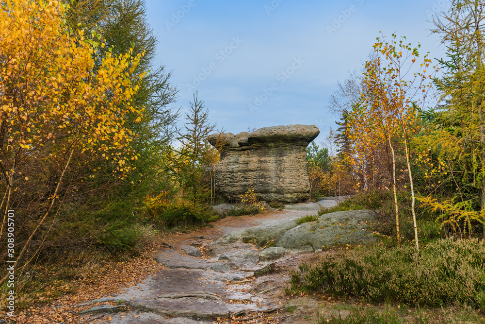 Stone mushroom in Adrspach-Teplice Nature park in Czech