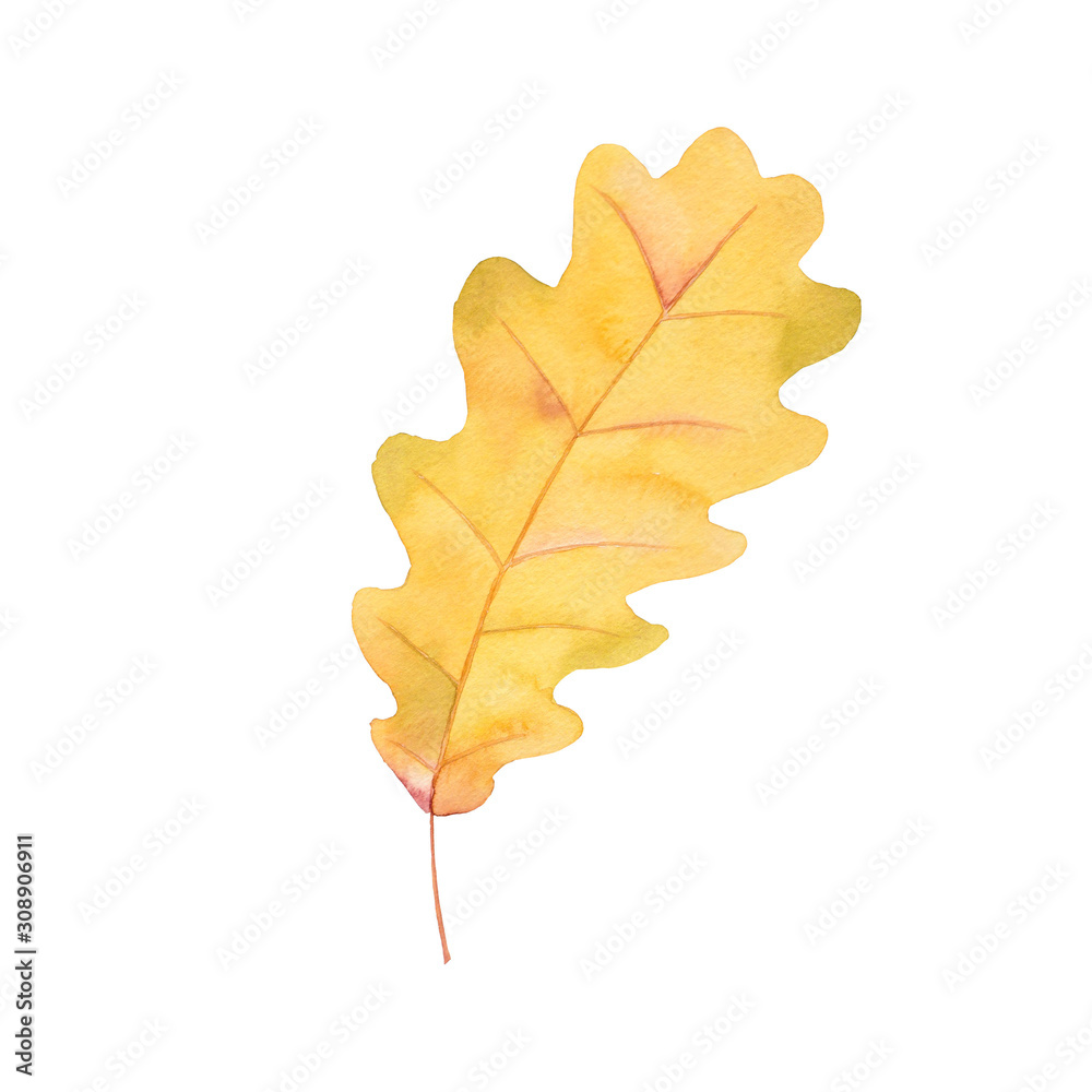 Autumn yellow leaf watercolor leaf oak leaf