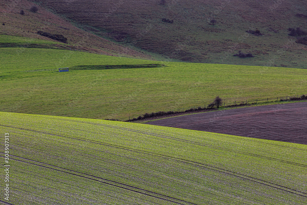 Fototapeta premium A full frame farm landscape of the South Downs, on a sunny winters day