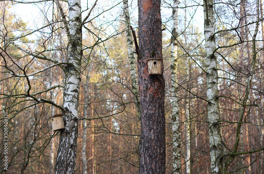 Outdoor Birdhouse.  Birdhouses in the  forest.