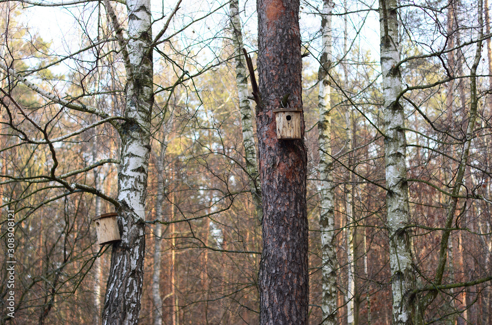Outdoor Birdhouse. Birdhouses in the forest. Outdoor Birdhouse. Birdhouses in the forest.