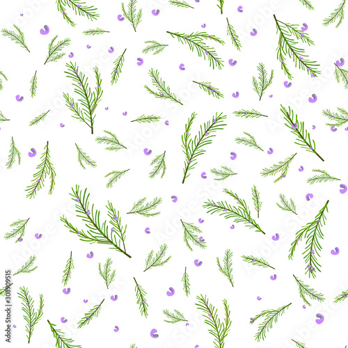 Seamless pattern with green sprigs of rosemary and violet flowers