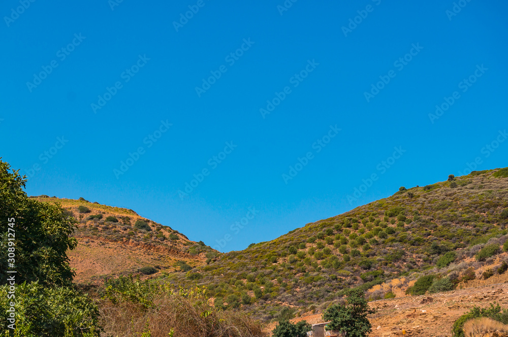 Obraz premium Olive trees on the slopes of the mountains. Crete. Greece
