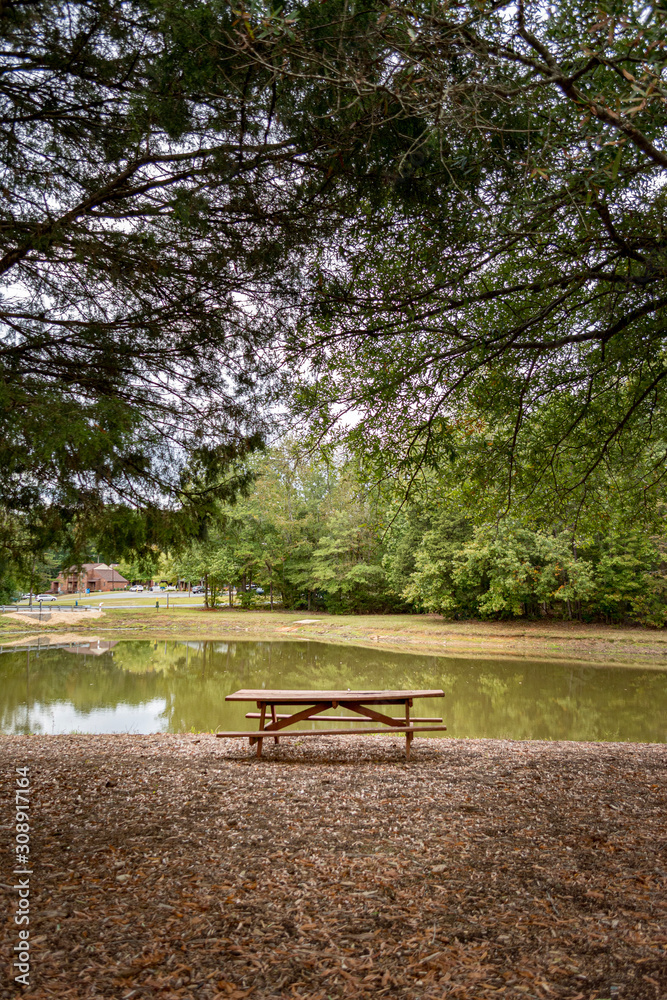 Obraz premium bench in the park