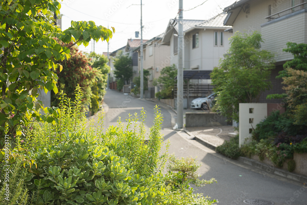 雲雀丘の街並み 雲雀丘の街並み