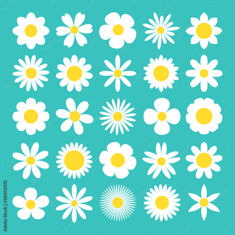 Camomile big set. White daisy chamomile icon. Cute round flower plant nature collection. Love card symbol. Growing concept. Decoration element. Flat design. Green background. Isolated.