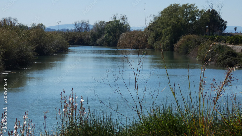 Fototapeta premium River
