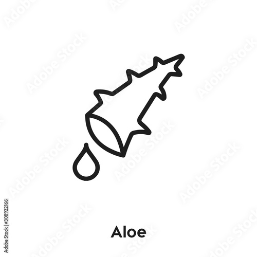 aloe icon vector. agave icon vector symbol illustration. Modern simple vector icon for your design. aleo icon vector	