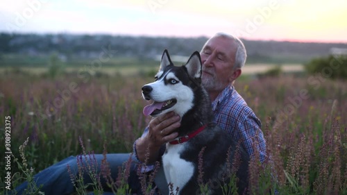 Elderly man with a gray hair and beard smiling and stroking dog in the field at sunset