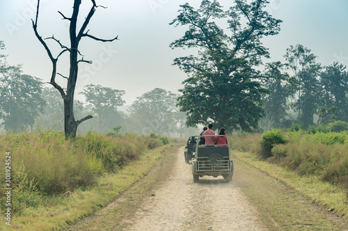 Tourist in jeep navigating the forest of the Jim Corbett national reserve