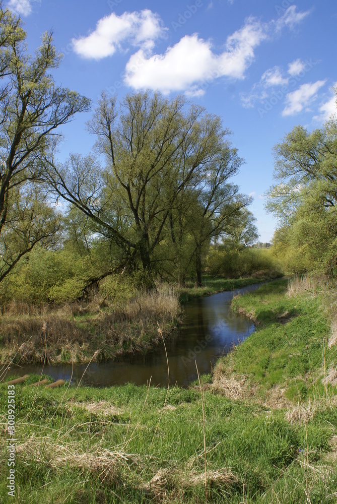 Flusslauf Alte Süderelbe Flusslauf Alte Süderelbe