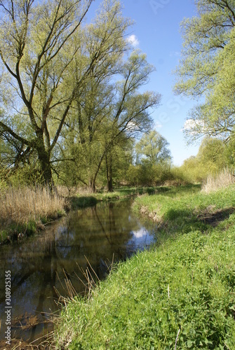 Flusslauf Alte Süderwelbe