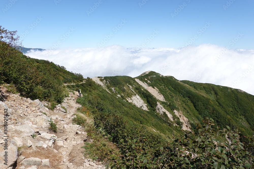 Trail of Mt. Karamatsu (Japan alps / Japanese mountain)