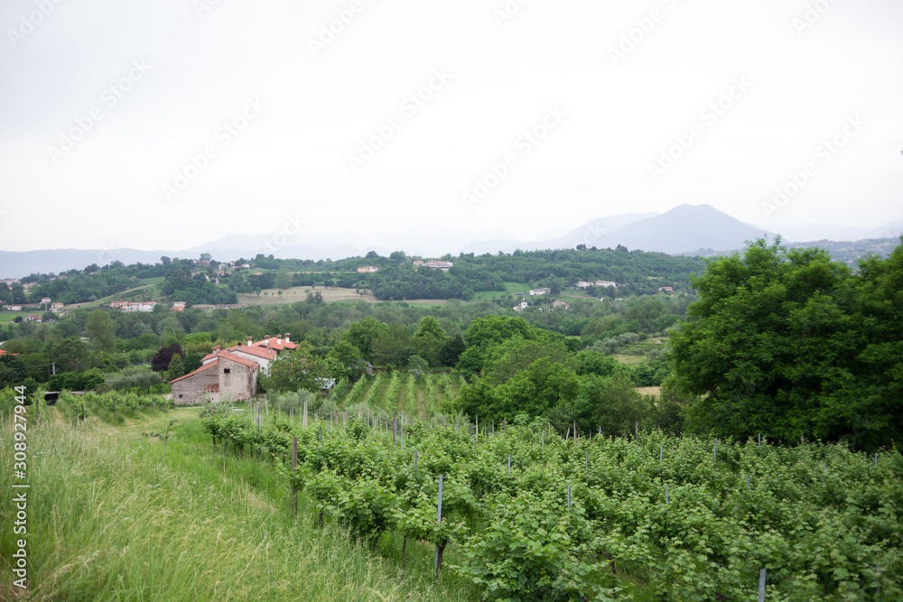 fara vicentino, italy, 06/10/2019 , View of the countryside of Fara Vicentino, a small town in Vicenza prefecture in Italy. fara vicentino, italy, 06/10/2019 , View of the countryside of Fara Vicentino, a small town in Vicenza prefecture in Italy.