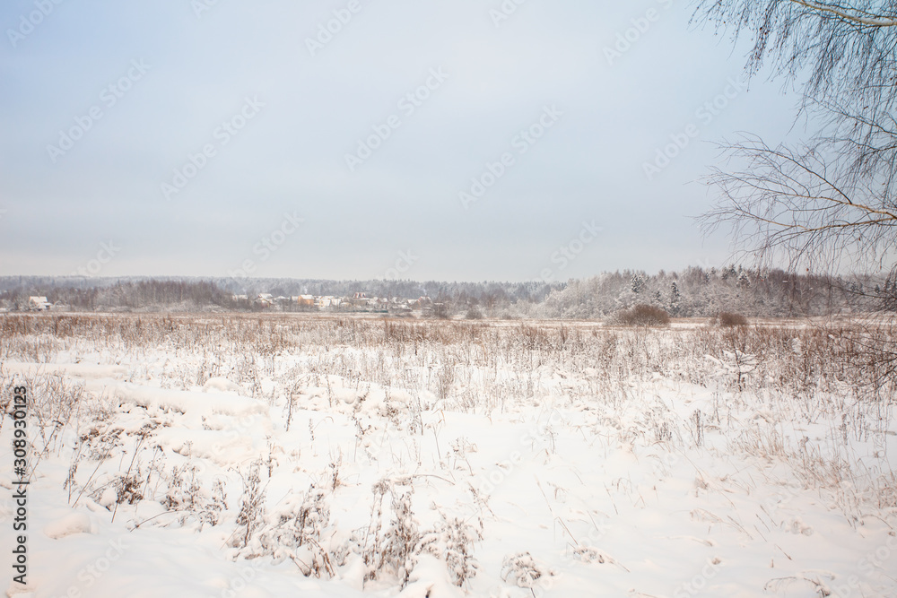 Winter landscape with village, forest and field