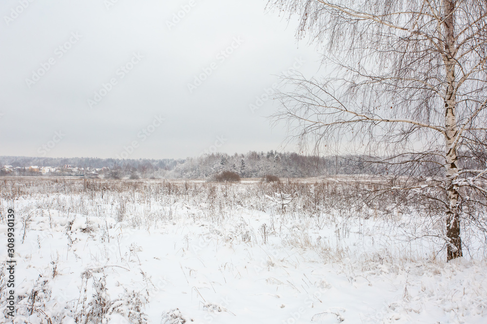 custom made wallpaper toronto digitalWinter landscape with village, forest and field