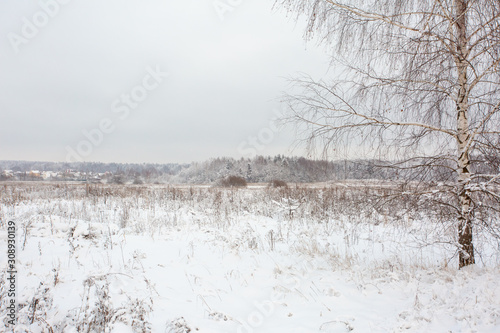 Wallpaper Mural Winter landscape with village, forest and field Torontodigital.ca