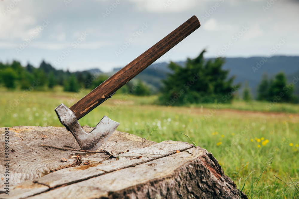 Ax in the remains of a tree. Image representing illegal logging from ...