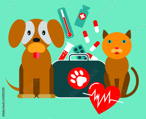 Treatment of animals. First aid for cats and dogs. The concept of love and care for Pets.