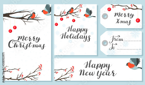 Set of Christmas and New Year cards and labels with snowy branches and bullfinches