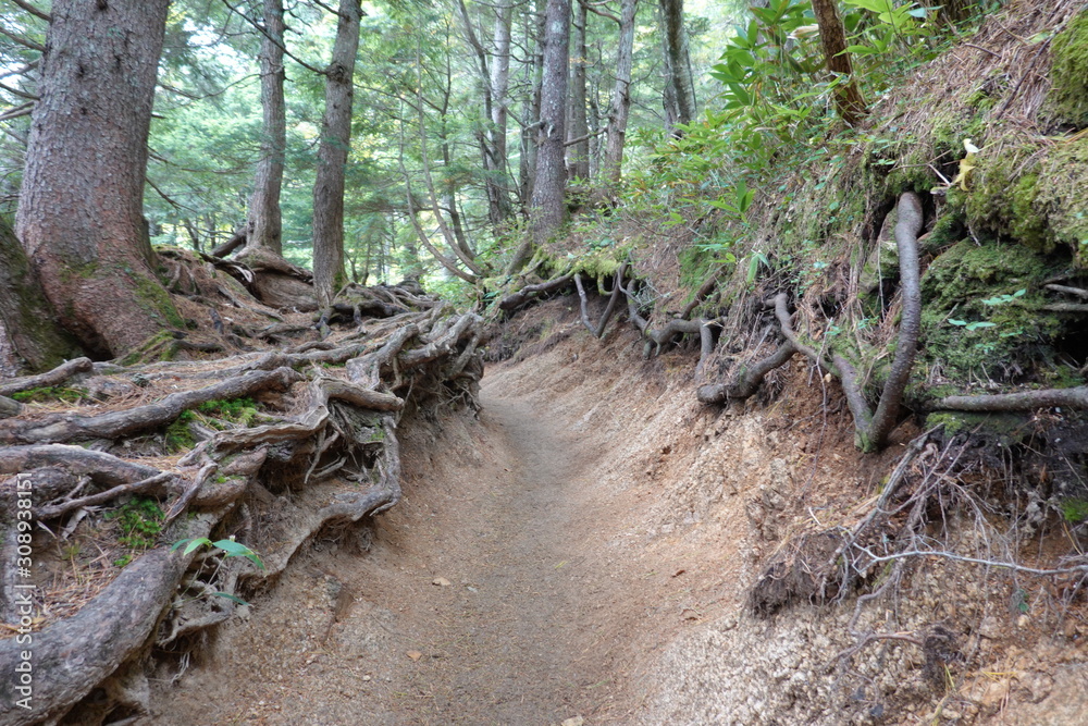Fototapeta premium Trails of Jonen mountains (Japan alps / Japanese mountains)