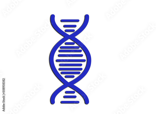 dna on white background