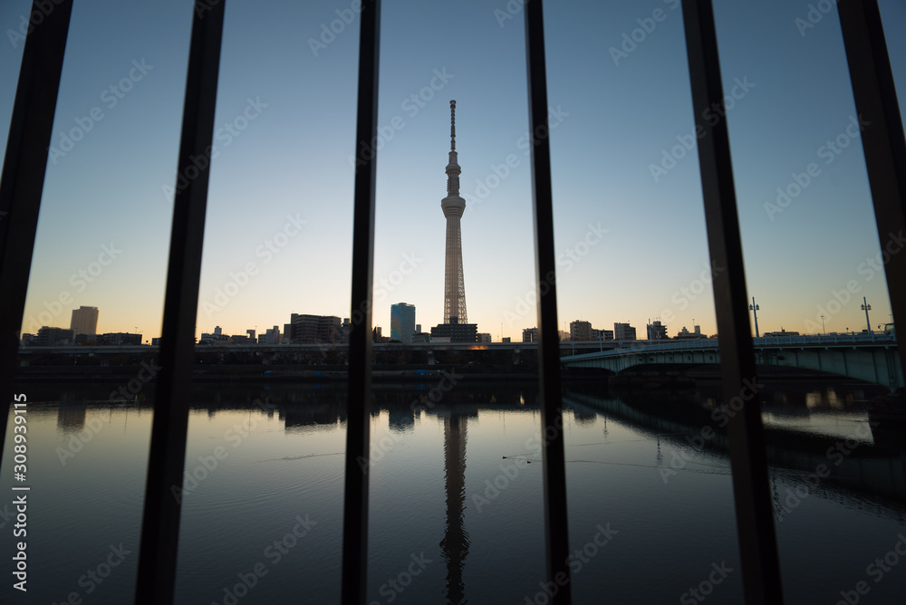 Naklejka premium 柵越しに見た東京スカイツリーと朝焼け