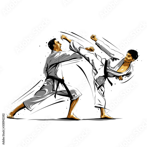 karate action 10 photo