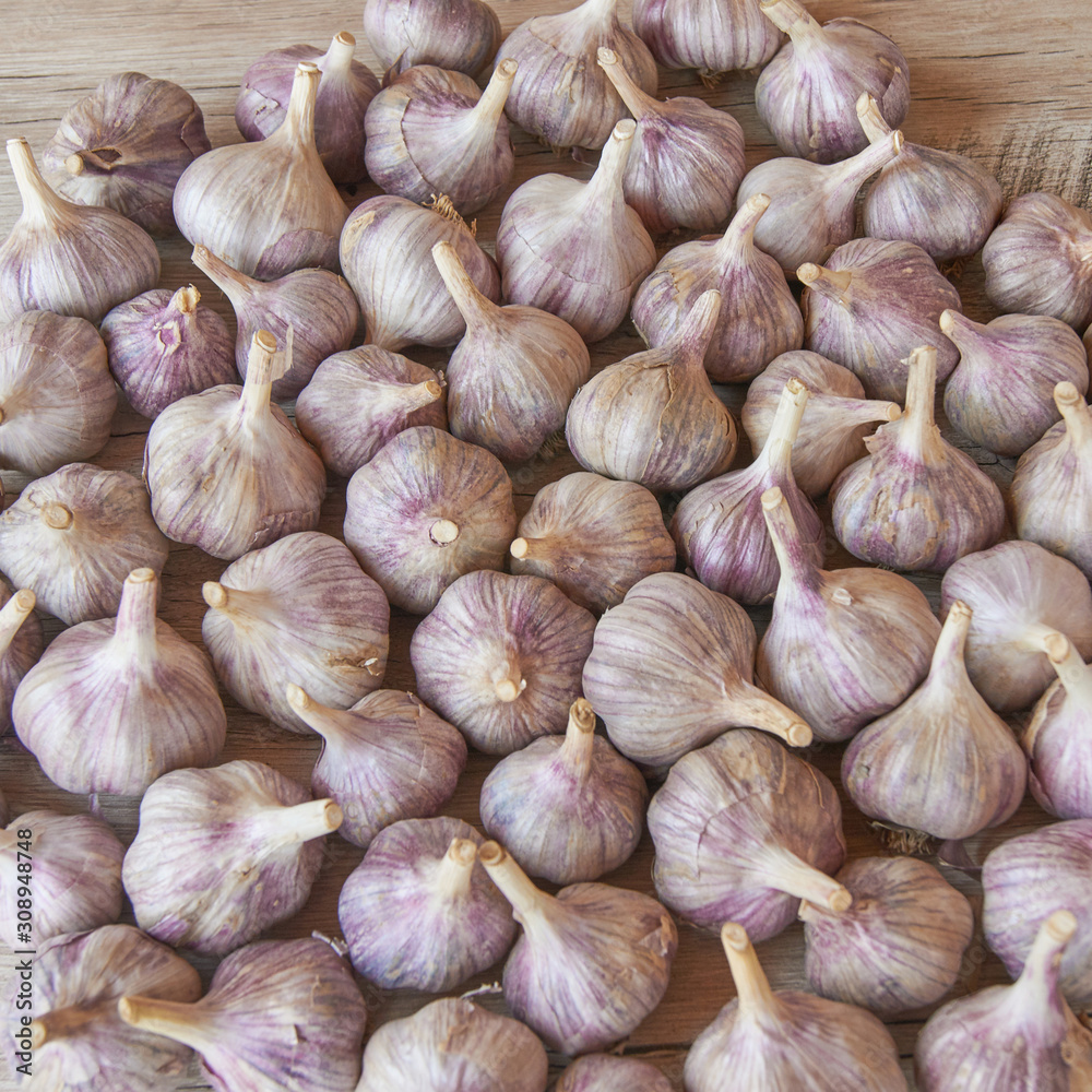 Fresh harvest of garlic on wooden table. Organic food concept. Food background Fresh harvest of garlic on wooden table. Organic food concept. Food background
