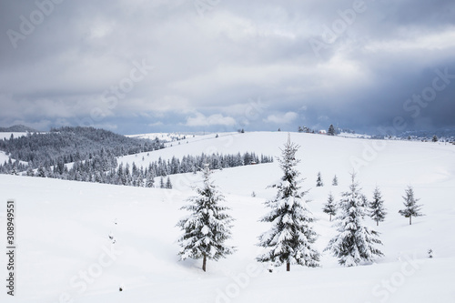 Scenic winter landscape with snowy fir trees and small cottage.  © belyaaa