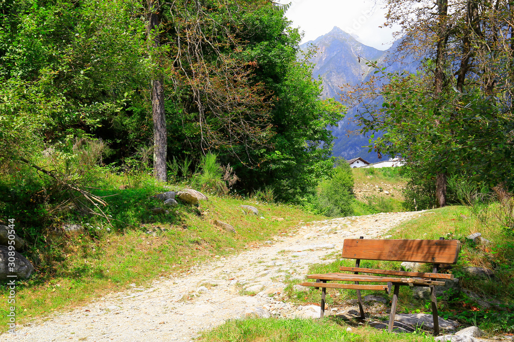 naturalistic landscape with trees and mountains and with a wooden bench in the foreground