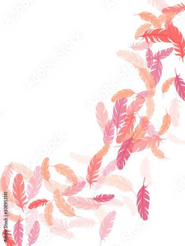 Flying feather elements airy vector design.